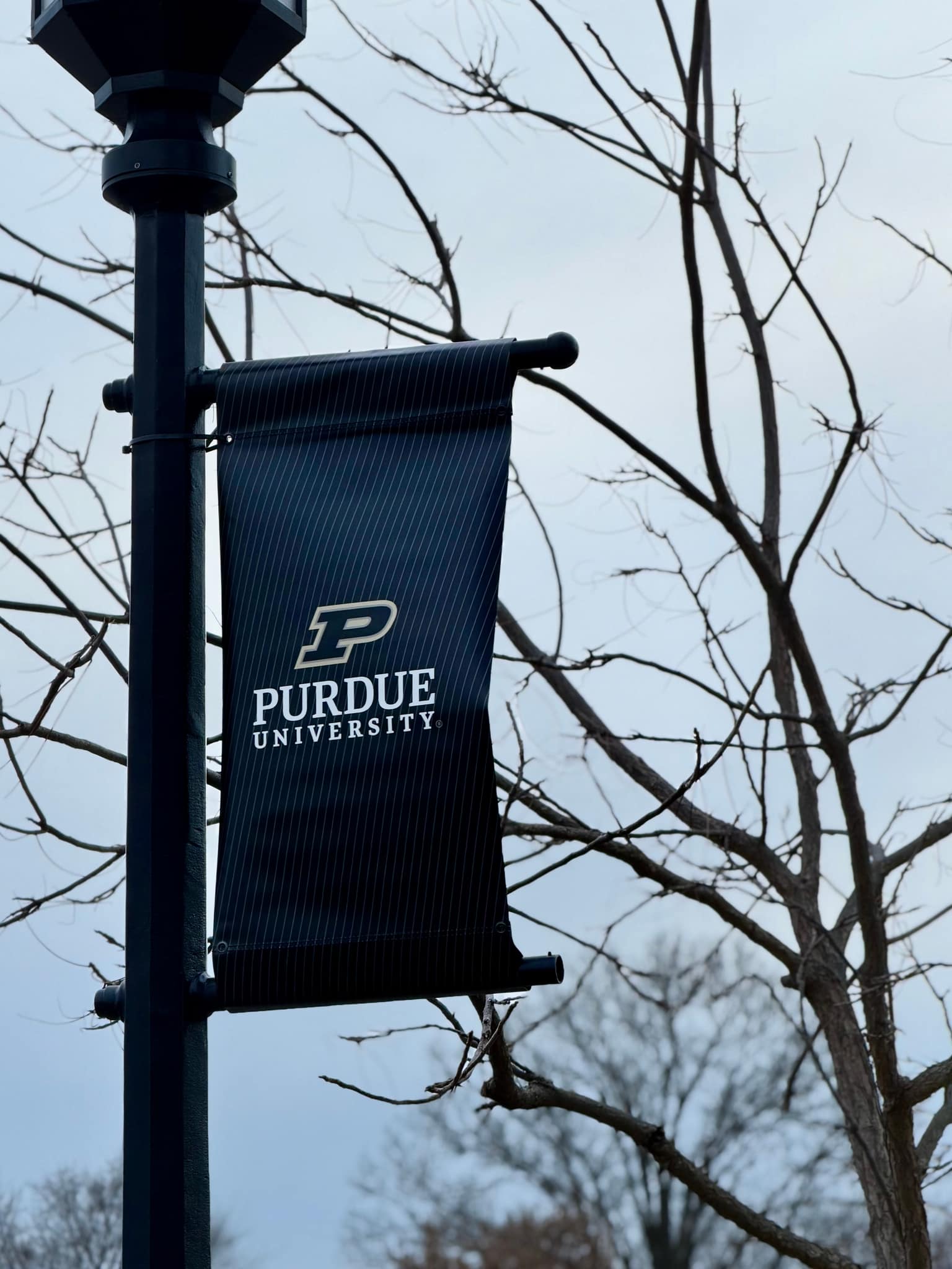 Black Purdue University banner with gold motion P and white serif text, hung from a black lamppost against a pale gray winter sky and thin bare branches