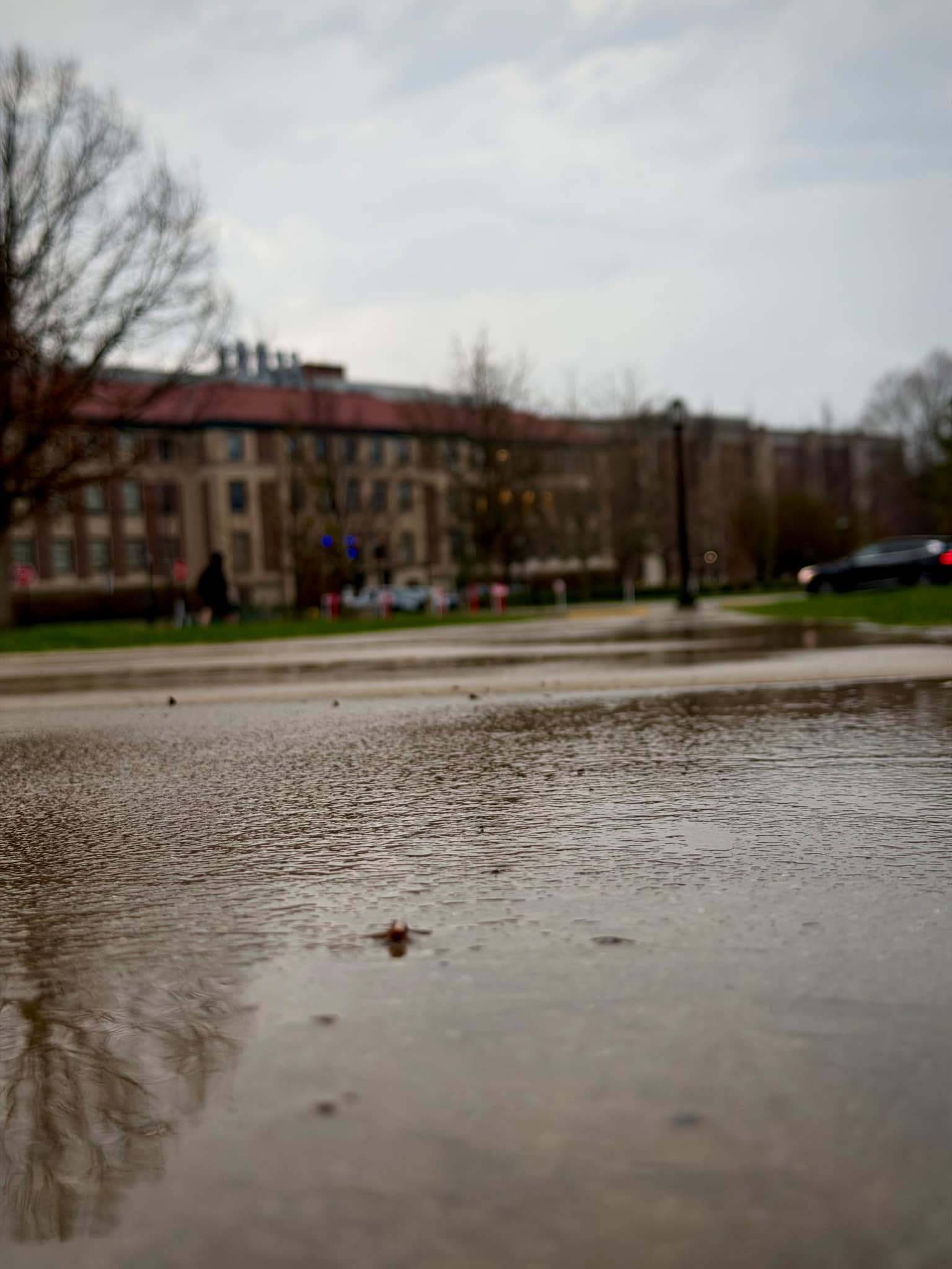 Low angle across a shallow puddle on wet asphalt reflecting gray sky and bare branches, soft-focus brick academic building with red roof and lamppost beyond on an overcast day