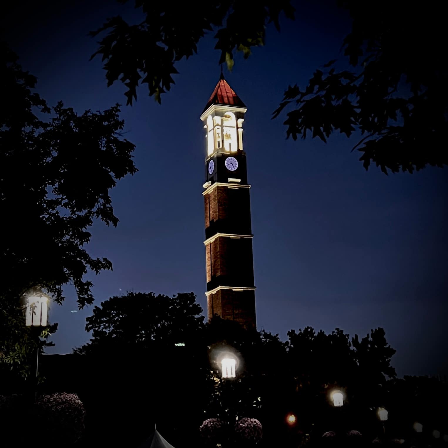 Night view of a slender brick clock tower with glowing white clock faces and lit belfry, rising above warm streetlamps and silhouetted tree branches against deep blue sky