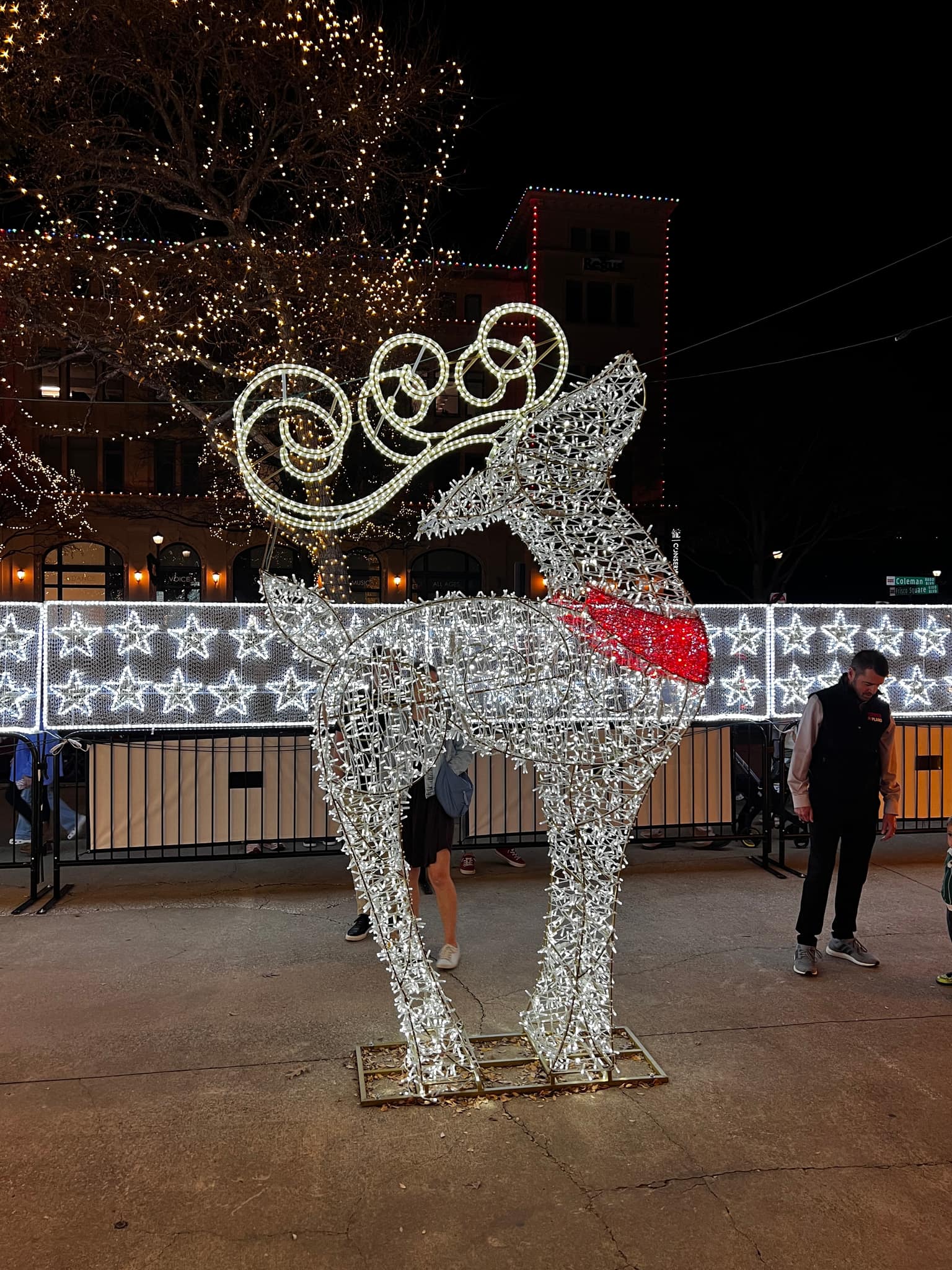 Large wire-frame reindeer wrapped in cool white lights with a red light scarf, in front of a fence of glowing stars and a tree draped in warm fairy lights