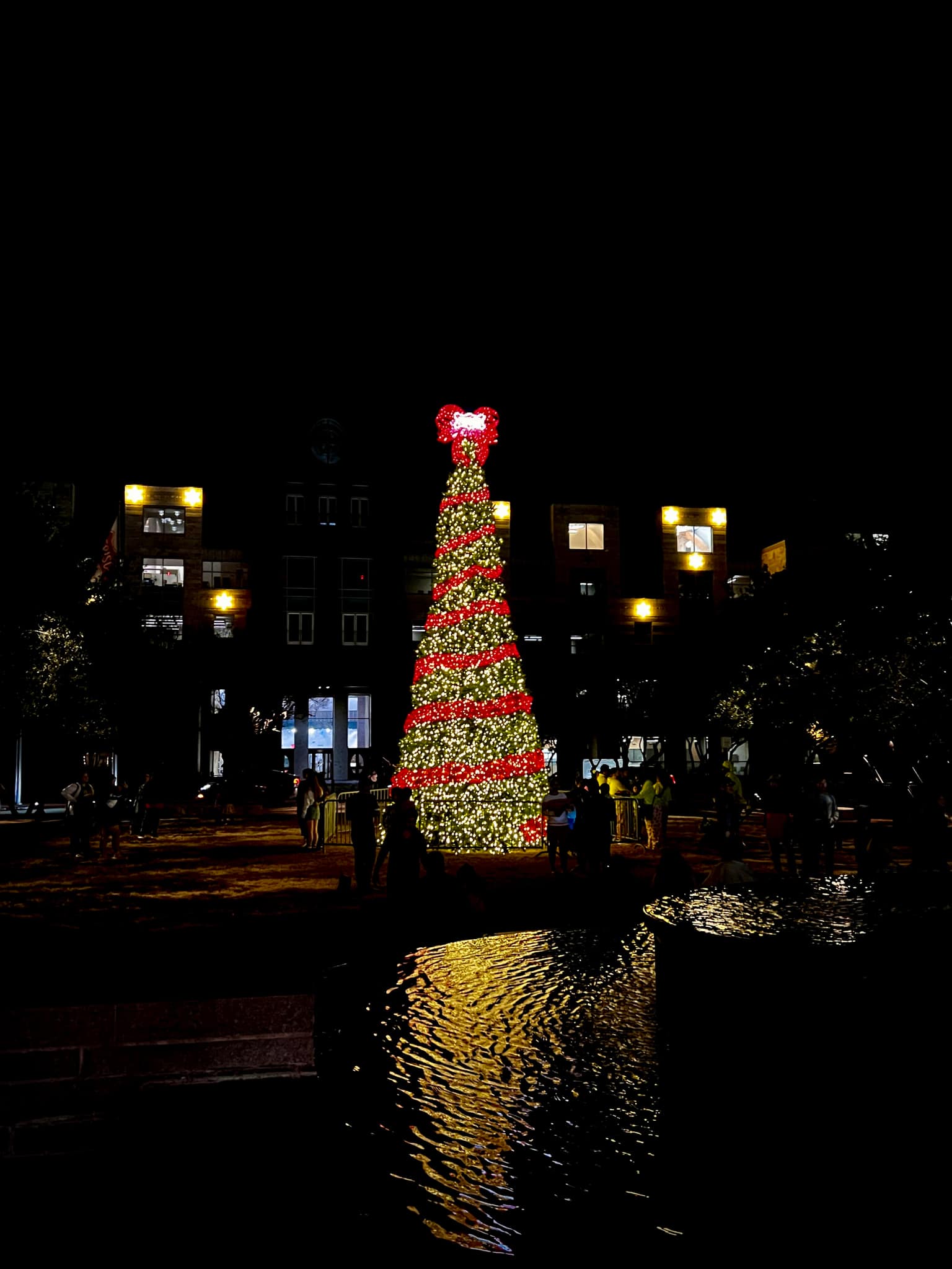 Tall outdoor Christmas tree dense with warm white lights, red spiral garland, and a big red bow on top, reflected in rippling water with people at its base