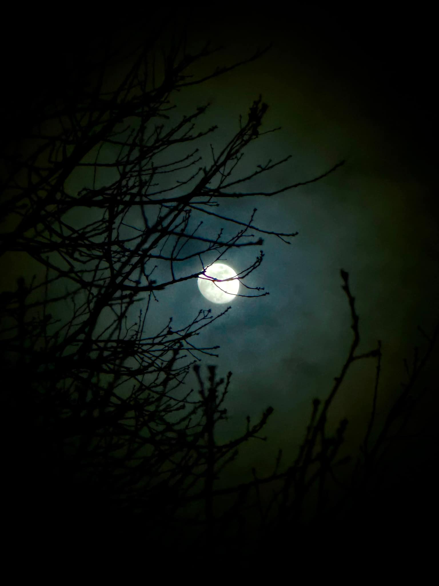 Moon photograph