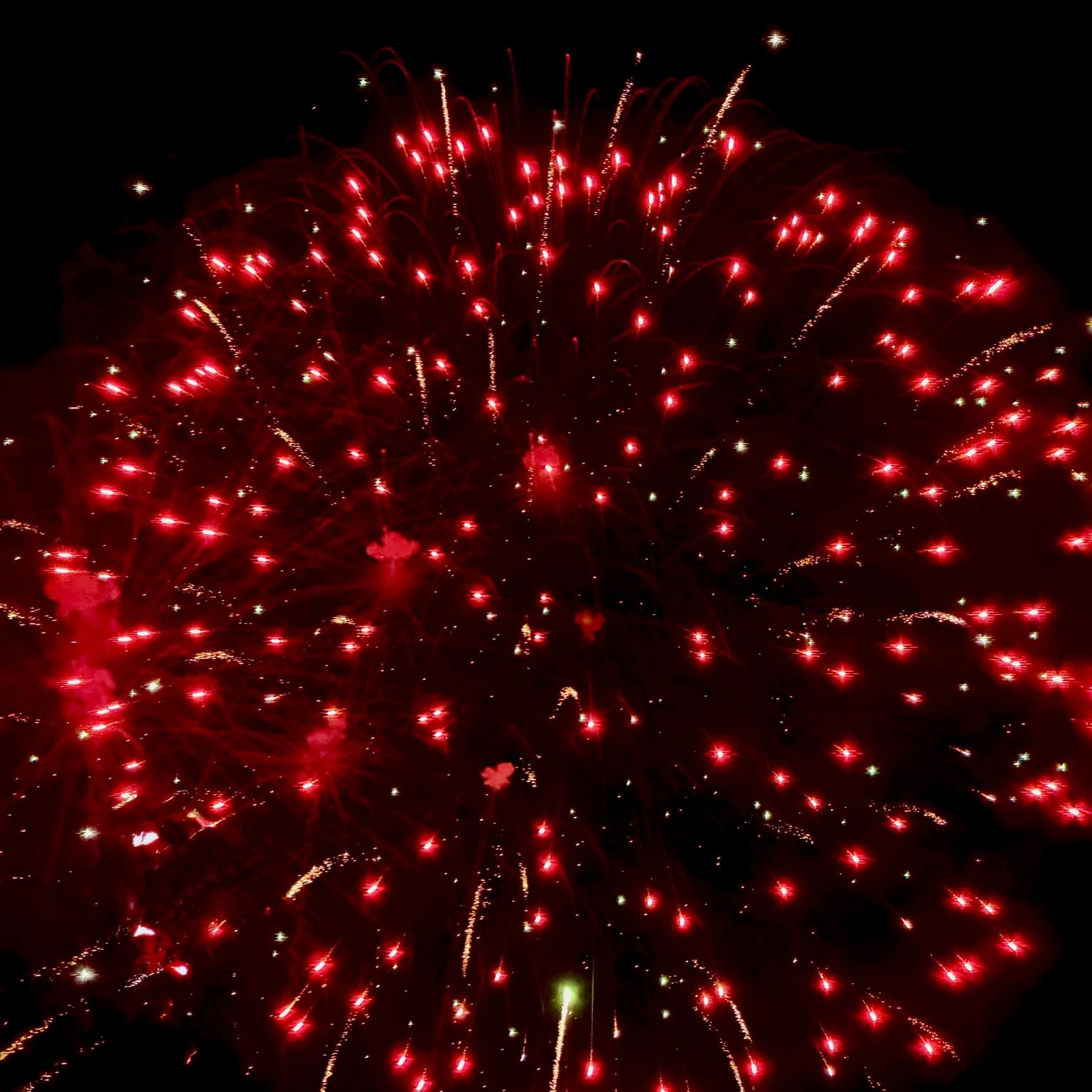 Close-up of a large spherical red firework burst, hundreds of red sparks on black night sky