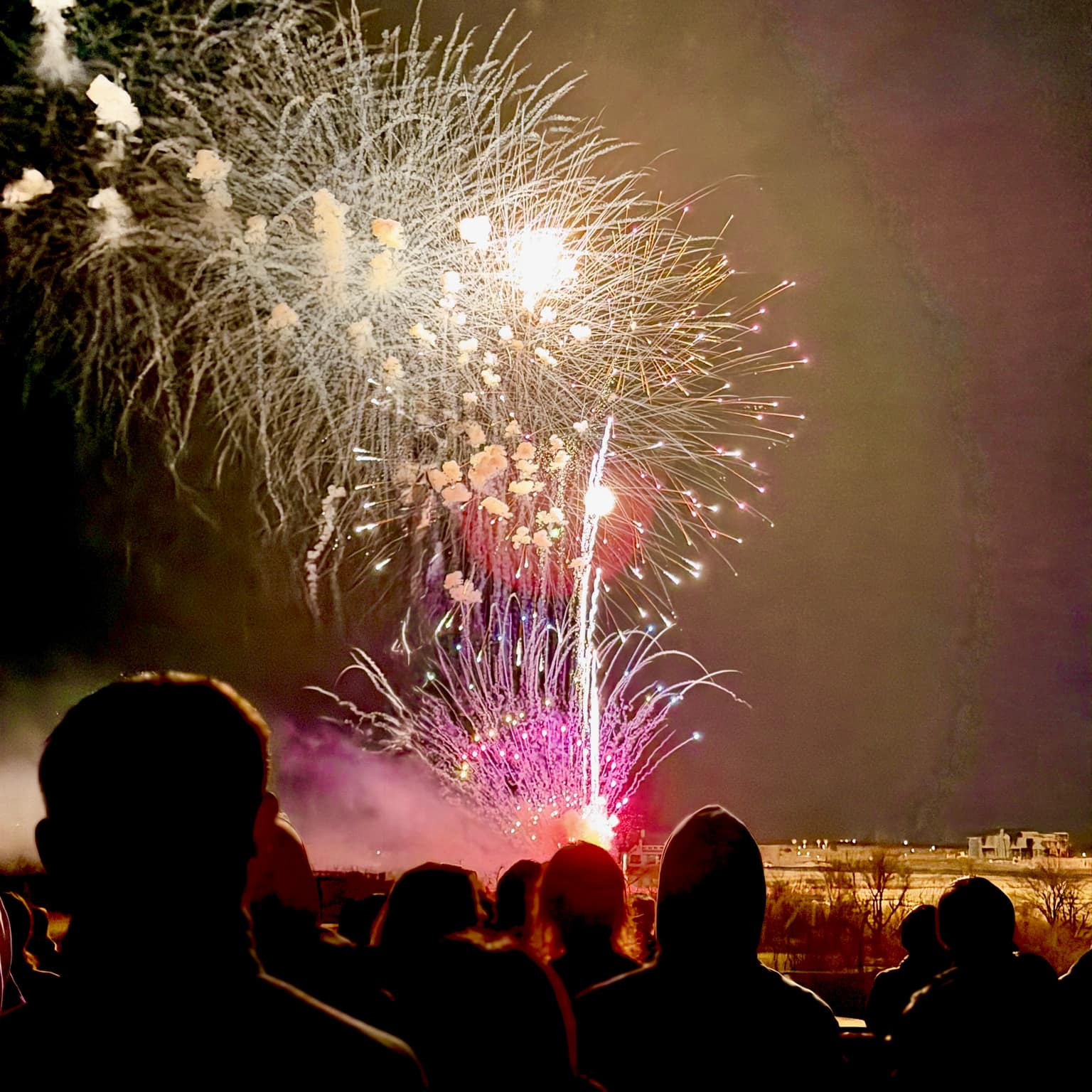 Purple, pink, and white layered fireworks over spectators' silhouettes; distant horizon lights and bare trees