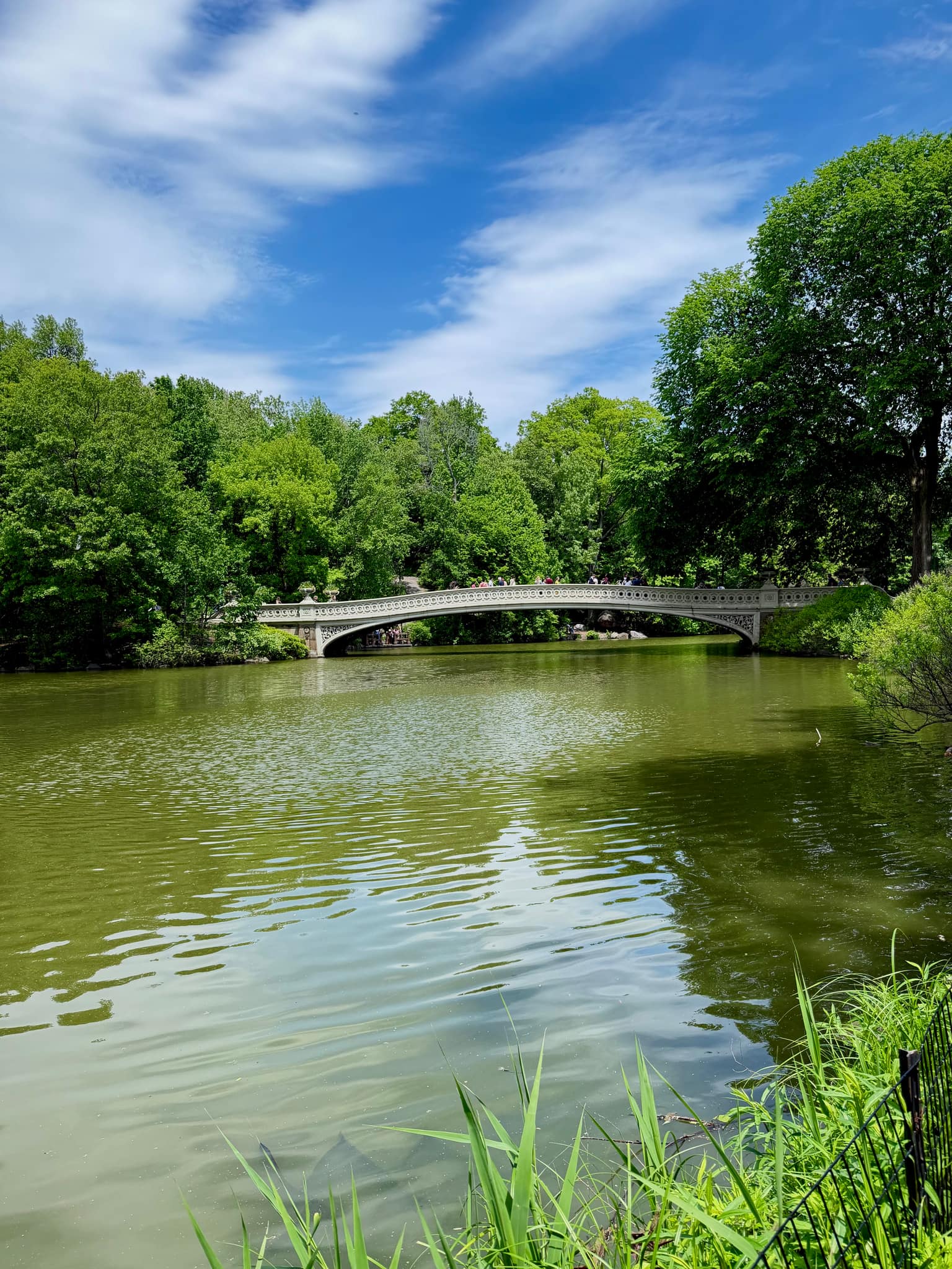 Bow Bridge arcing over the lake in Central Park beneath bright spring trees and a wide blue sky filled with soft white clouds