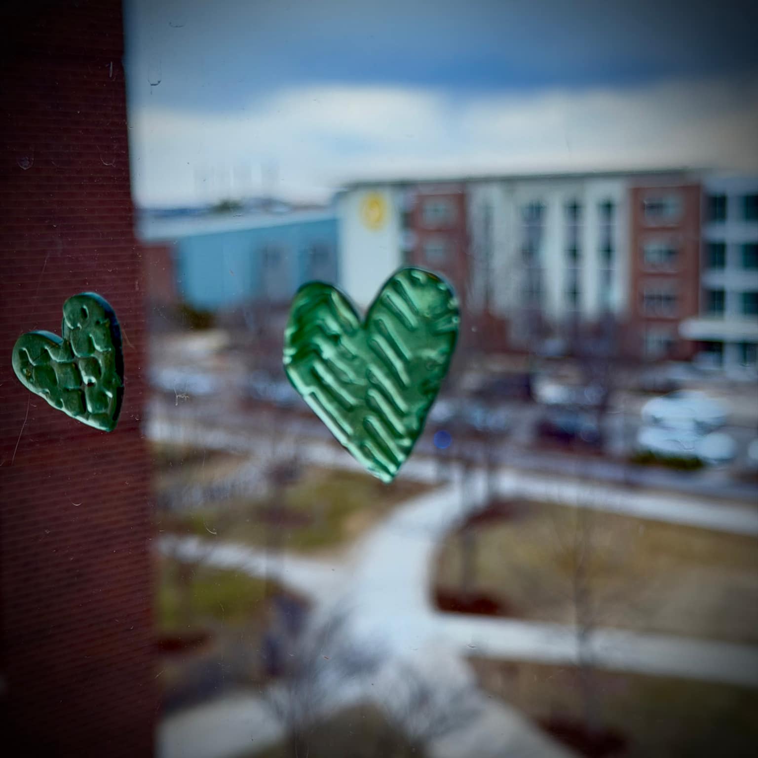 Green heart-shaped leaves